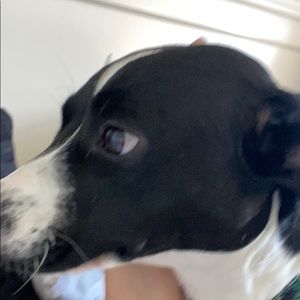 Meet your Posher, Carley